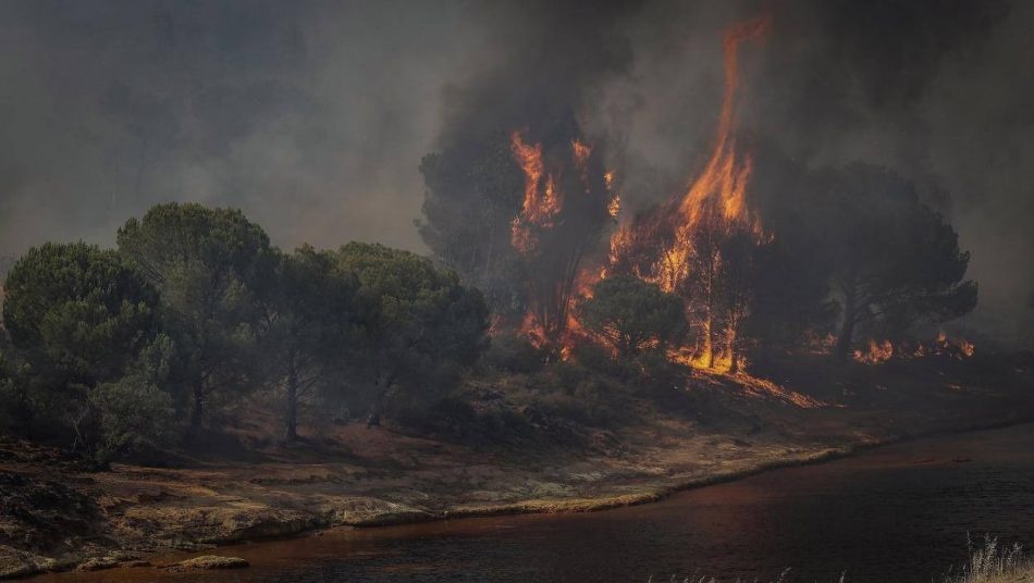 Compromís revela que Mazón lanzó sospechas sobre la autoría del incendio de Montitxelvo sin contar con ningún informe