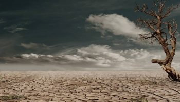 2023 será el año más cálido desde que hay registros