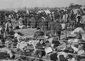 La película documental “Cerdos, la guerra no ha terminado” denuncia la infamia contra la memoria del campo de concentración de Septfonds