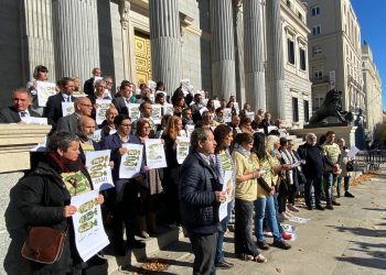 Más de 375 organizaciones, artistas y representantes políticos piden el cese del comercio de armas con Israel en el Congreso de los Diputados