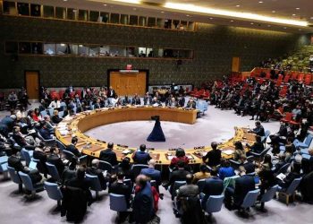 Djibouti saludó resolución de ONU a favor de Palestina, pero pide más