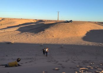 Miembros del PCE en El Bierzo colaboran con en los campamentos de refugiados saharauis