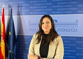 Verdes EQUO pide hacer del Día de la Constitución un día de reivindicación para mantener la utilidad de la misma