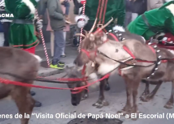 PACMA denuncia la utilización de renos en una visita de Papá Noel en El Escorial