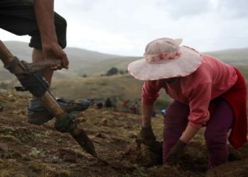 ONU exige acelerar la acción climática de la COP28