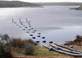 Adelante Andalucía lleva al Parlamento Europeo la falta de agua potable en el norte de Córdoba