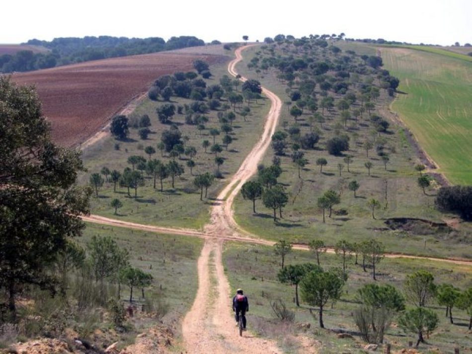 La Plataforma Ibérica por los Caminos Públicos alega a la Red Nacional de Vías Pecuarias para exigir concreción en los procesos de recuperación y la continuidad de trazados