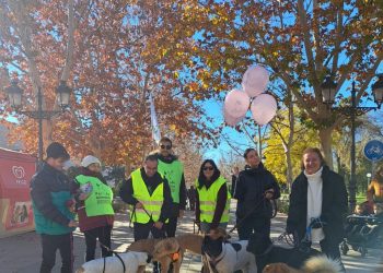 Recogidas de alimentos y paseos proadopción: PACMA se moviliza por las protectoras en 10 ciudades