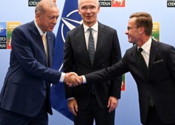 Comisión parlamentaria turca respalda adhesión de Suecia a la OTAN