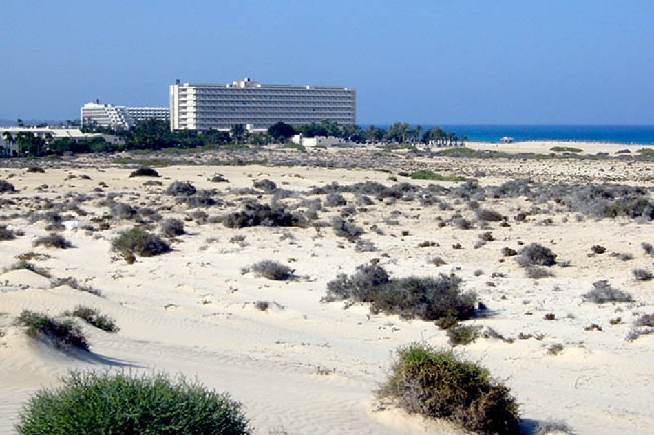 Ecologistas en Acción vuelve a denunciar las irregularidades de RIU en sus hoteles de Fuerteventura