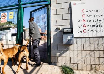 Concentració dels treballadors del Centre d’Acolliment d’Animals de Companyia de Barcelona, en vaga des de novembre