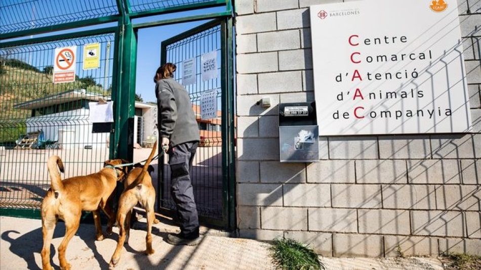 Concentració dels treballadors del Centre d’Acolliment d’Animals de Companyia de Barcelona, en vaga des de novembre