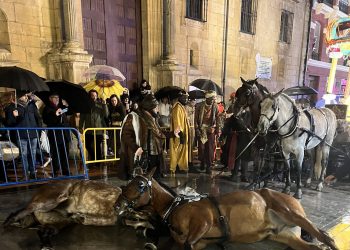 PACMA, sobre el desplome de dos caballos en la cabalgata de Reyes de Oviedo: «es culpa del Ayuntamiento»
