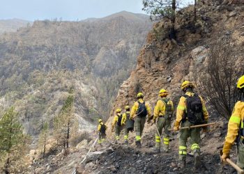 El Gobierno pretende eludir el criterio de la Comisión Nacional de Seguridad y Salud en el Trabajo sobre riesgos de exposición a agentes químicos en la extinción de incendios