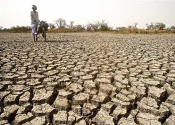 Agenda 2030, ¿hasta dónde avanzaron los objetivos trazados de la ONU?
