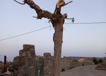 El Ayuntamiento de Albalá (Cáceres), nominado a La Motosierra de Atila