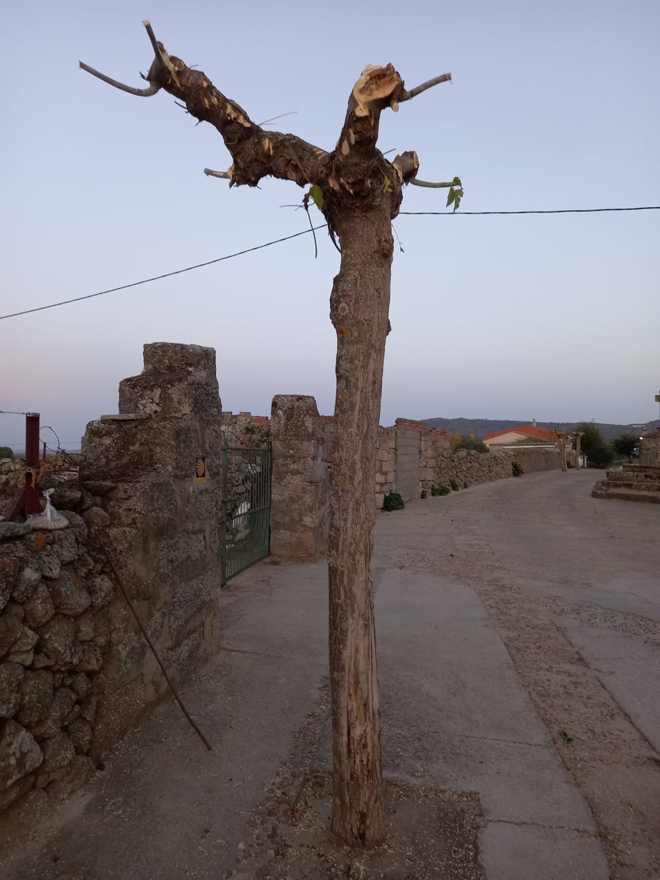 El Ayuntamiento de Albalá (Cáceres), nominado a La Motosierra de Atila