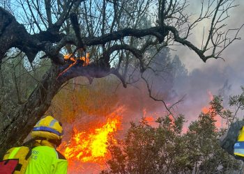 CGT denúncia l´abandonament institucional del servei de bombers i bomberes forestals de la Generalitat Valenciana per part del PP i els seus socis de Govern