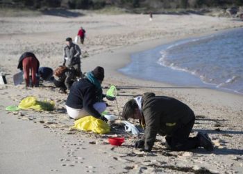 El Grupo Verde Europeo pide al Parlamento Europeo reforzar las medidas de control para evitar nuevos vertidos de pellets