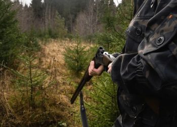 Armas de Precisión: Descubre las Últimas Tendencias en Escopetas para Caza