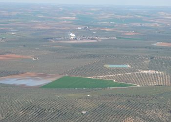 2 de febrero, Día Mundial de los Humedales. Es imprescindible identificar, inventariar y restaurar nuestros humedales