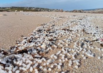 Sumar y Verdes Equo piden al Gobierno que asuma la limpieza de los pellets de las costas Gallegas, si la Xunta no lo hace en 48 horas 