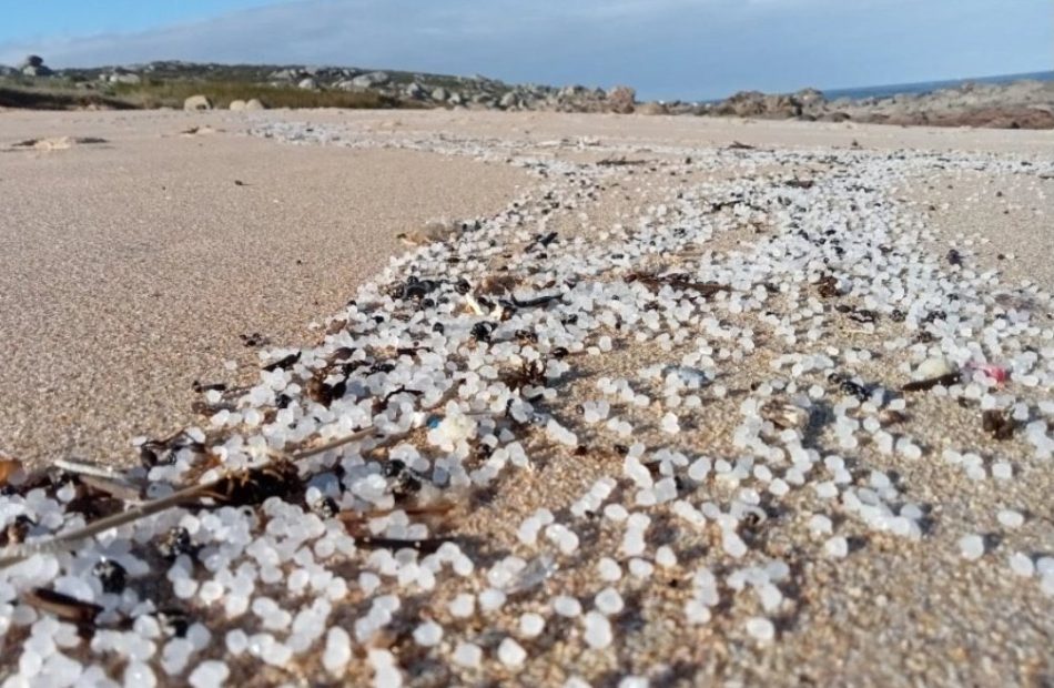 Sumar y Verdes Equo piden al Gobierno que asuma la limpieza de los pellets de las costas Gallegas, si la Xunta no lo hace en 48 horas 