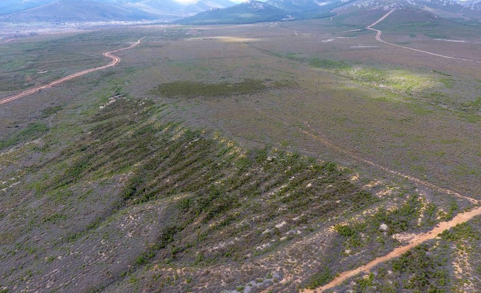 Inteligencia artificial para identificar restos de minas de oro romanas