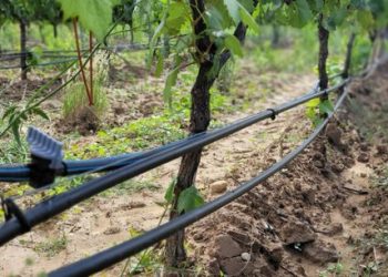 Ecologistas en Acción de Extremadura estudia presentar querella por prevaricación y malversación contra el gobierno de Fernández Vara
