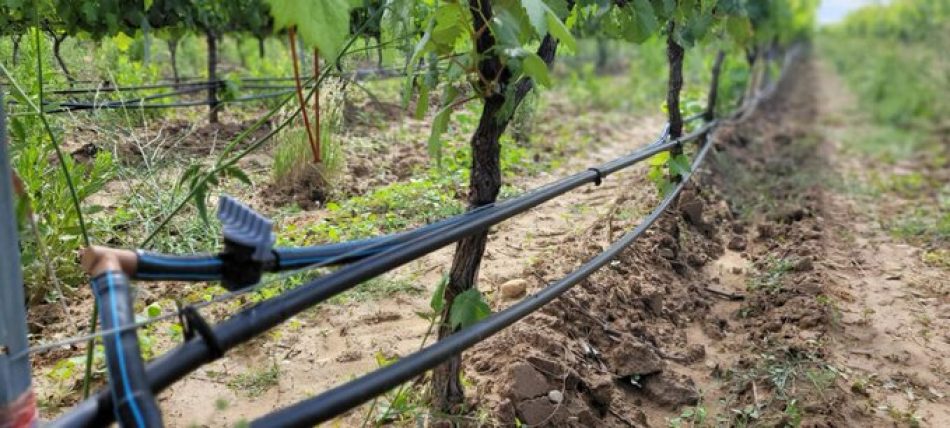 Ecologistas en Acción de Extremadura estudia presentar querella por prevaricación y malversación contra el gobierno de Fernández Vara