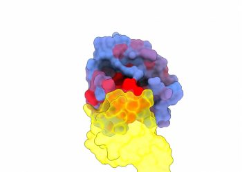 Revelan las vulnerabilidades secretas de la ‘Estrella de la Muerte’ del cáncer