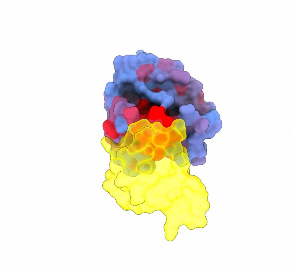 Revelan las vulnerabilidades secretas de la ‘Estrella de la Muerte’ del cáncer