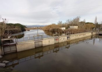 Denuncien un nou abocament il·legal d’aigües fecals a la platja de Gavà-Viladecans