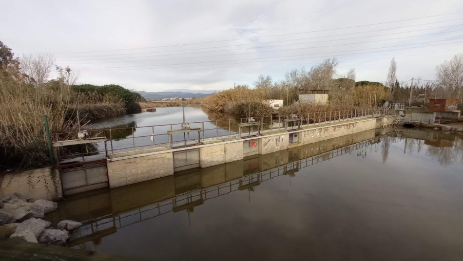 Denuncien un nou abocament il·legal d’aigües fecals a la platja de Gavà-Viladecans