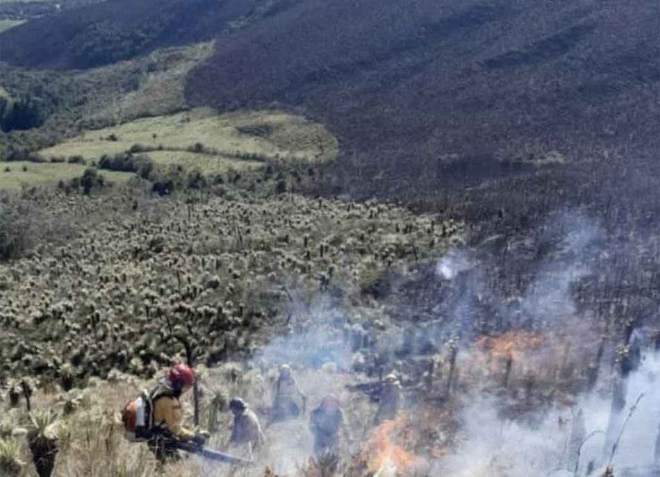 Un incendio forestal consume la reserva ecológica en Ecuador