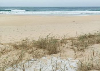 Ecologistas en Acción demanda en el Juzgado a la naviera que provocó el vertido de pellets en la costa gallega