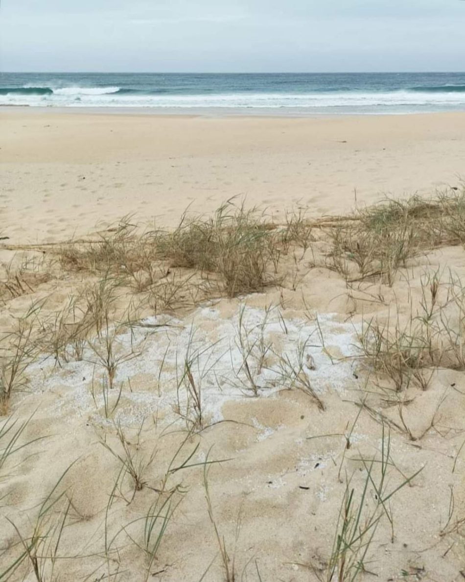 Ecologistas en Acción demanda en el Juzgado a la naviera que provocó el vertido de pellets en la costa gallega