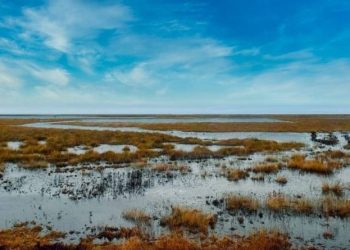 “¡Restaurar la naturaleza!”, el grito unánime por la recuperación de las zonas húmedas con motivo del Día Mundial de los Humedales