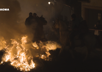 PACMA denuncia maltrato a los caballos durante las Luminarias de San Bartolomé de Pinares