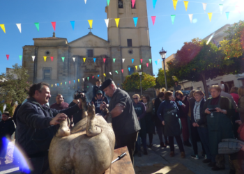 PACMA denuncia ante la Guardia Civil la «matanza didáctica» de un cerdo este sábado en Castuera y pide la cancelación del acto