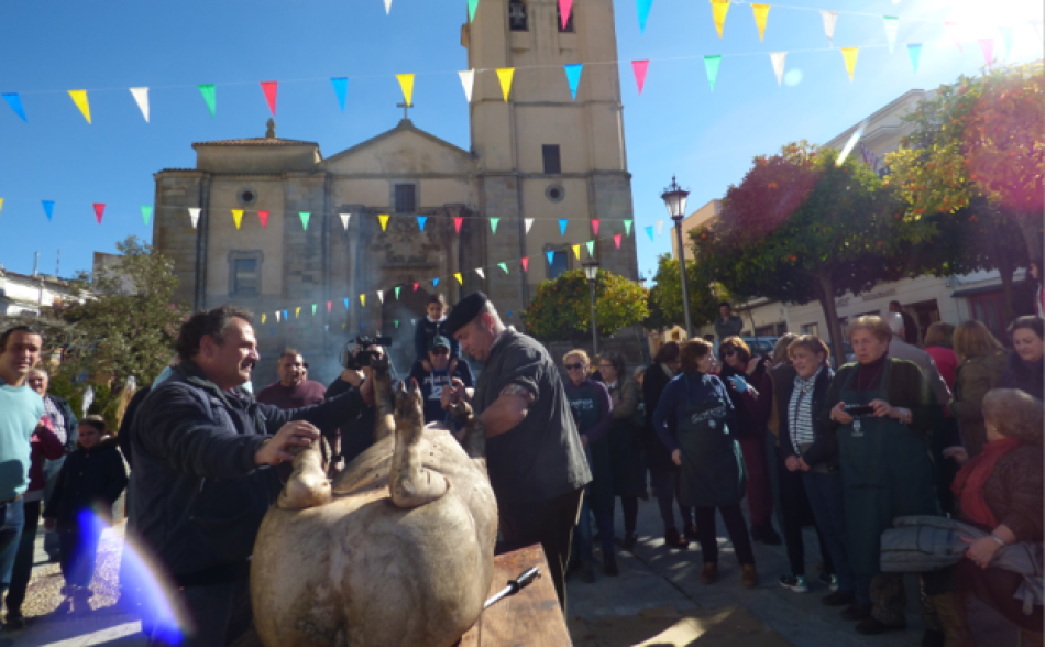 PACMA denuncia ante la Guardia Civil la «matanza didáctica» de un cerdo este sábado en Castuera y pide la cancelación del acto