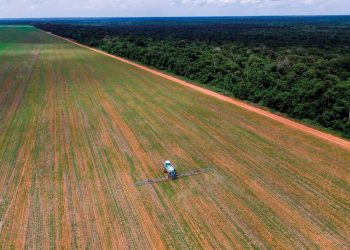 Así impactan los plaguicidas en la salud de la Amazonía