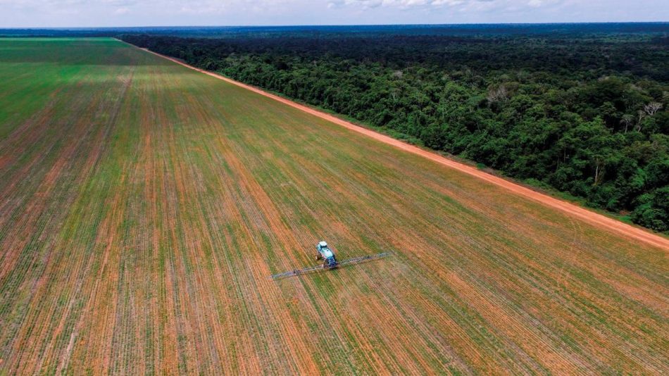 Así impactan los plaguicidas en la salud de la Amazonía