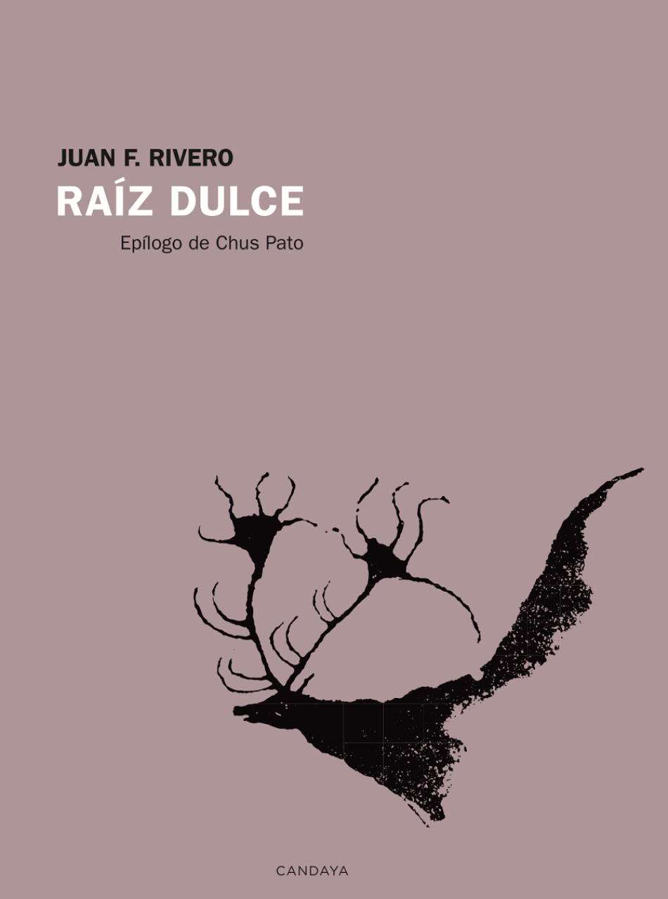 Juan F. Rivero publica el poemario Raíz Dulce