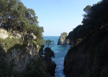 Coordinadora Ecologista de Asturias: «Nos preocupa mucho el futuro de la cueva prehistórica del Pindal»
