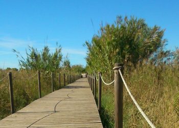 Ecologistes en Acció denuncia la degradació del Delta del Llobregat i la pèrdua de la seva biodiversitat