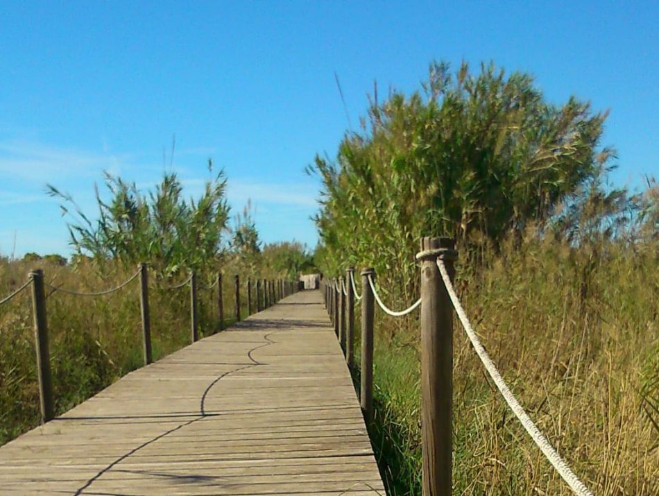 Ecologistes en Acció denuncia la degradació del Delta del Llobregat i la pèrdua de la seva biodiversitat