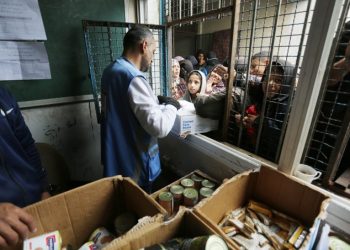 Gobierno de coalición anuncia 3,5 millones de euros para UNRWA, a fin de que pueda mantener sus actividades en Palestina a corto plazo