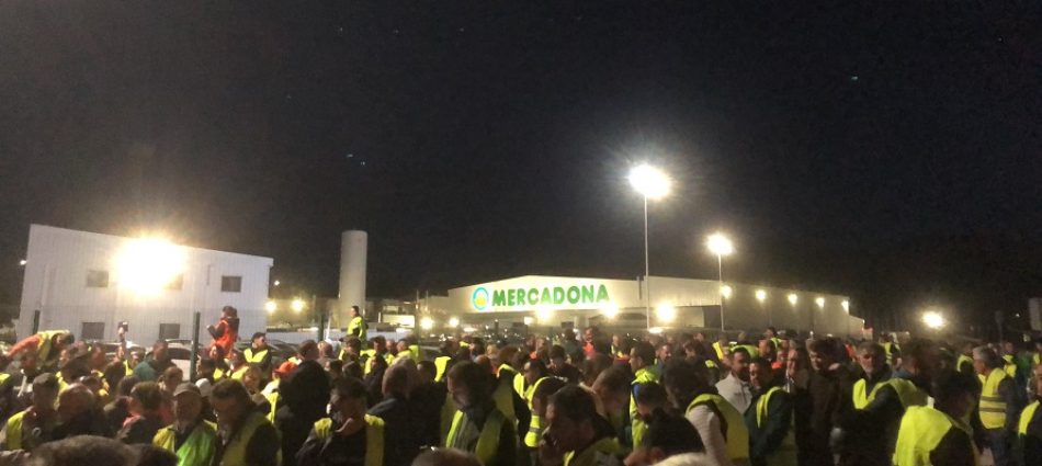 Agricultores en Euskadi, Andalucía y Castilla y León apuntan certeros, y se concentran contra uno de los causantes de su precaria situación actual: Mercadona