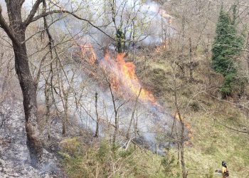 No es el viento el que prende fuego en Asturias